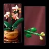 10343 - LEGO Botanicals - Mini orchidea