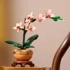 10343 - LEGO Botanicals - Mini orchidea