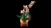 10343 - LEGO Botanicals - Mini orchidea