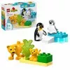 10442 - LEGO DUPLO Város - Állatcsaládok a vadvilágban: Pingvinek és oroszlánok