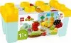 10984 - LEGO DUPLO Első készleteim Biokert