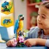 31136 - LEGO Creator Egzotikus papagáj