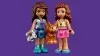 41677 - LEGO Friends Erdei vízesés